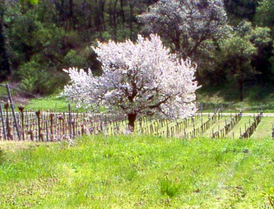 Siebenbruederhof Διαμέρισμα Weiden am See Εξωτερικό φωτογραφία